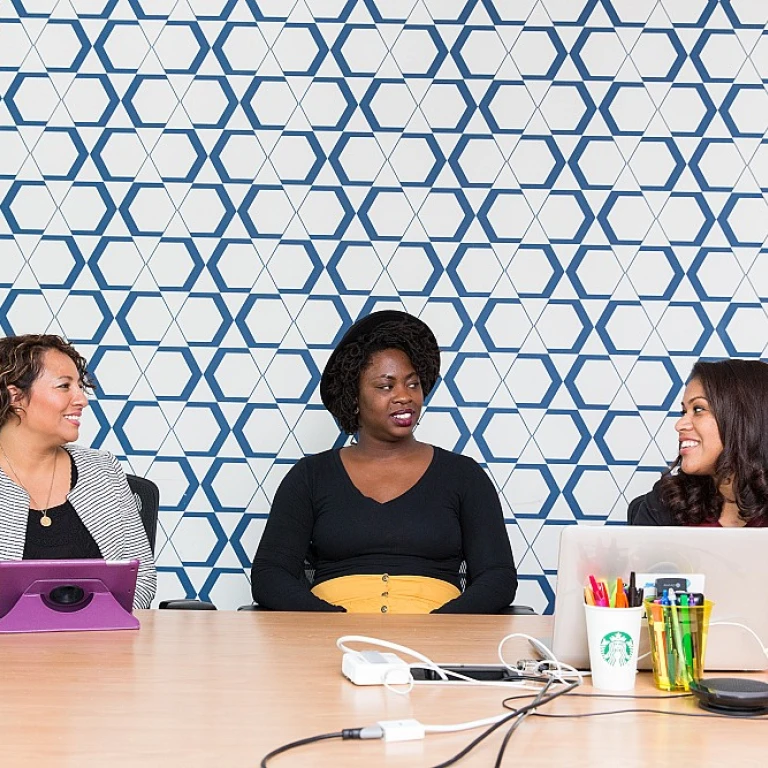 Exploring Career Paths in Change Management for New Zealand Companies