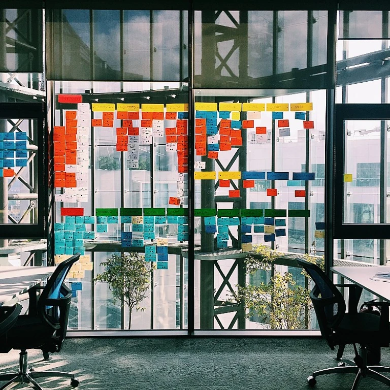 Enhancing Employee Engagement Through Effective HR Practices in New Zealand