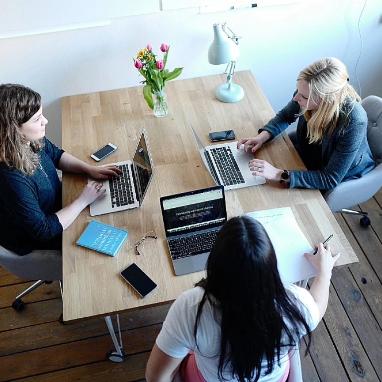 Enhancing Efficiency with System PO in New Zealand Companies