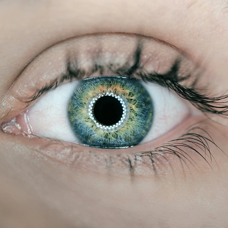 Optimizing Workforce Management with Premier Health's Time and Attendance Solutions