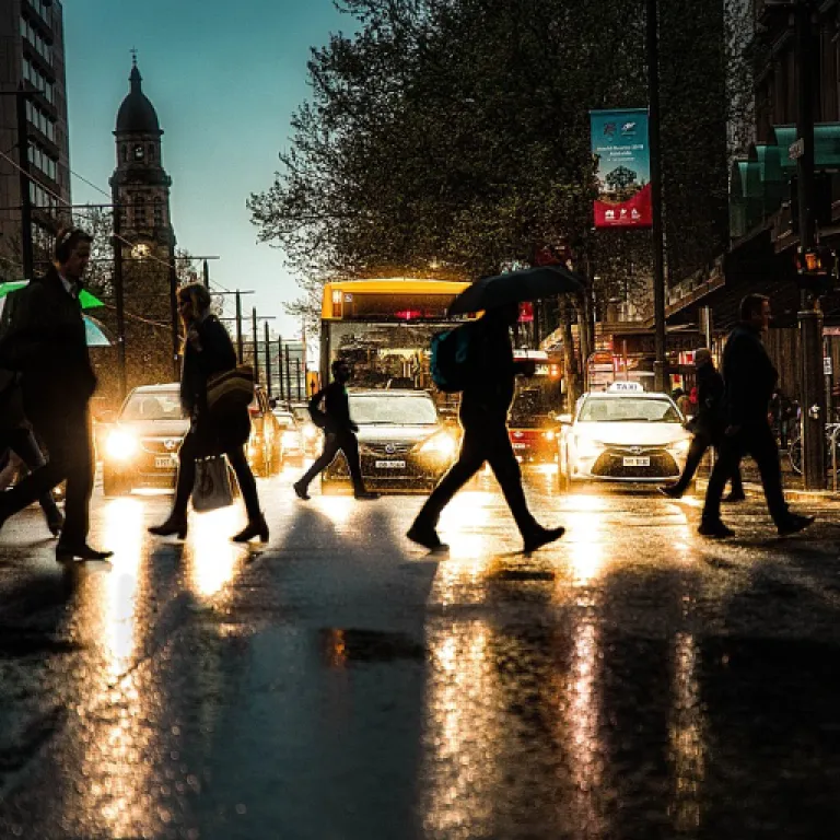 Navigating Financial Hurdles: Insights for CFOs in New Zealand's Manufacturing Sector