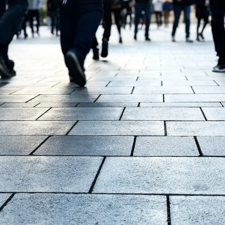 How to streamline visit plan management in your New Zealand office